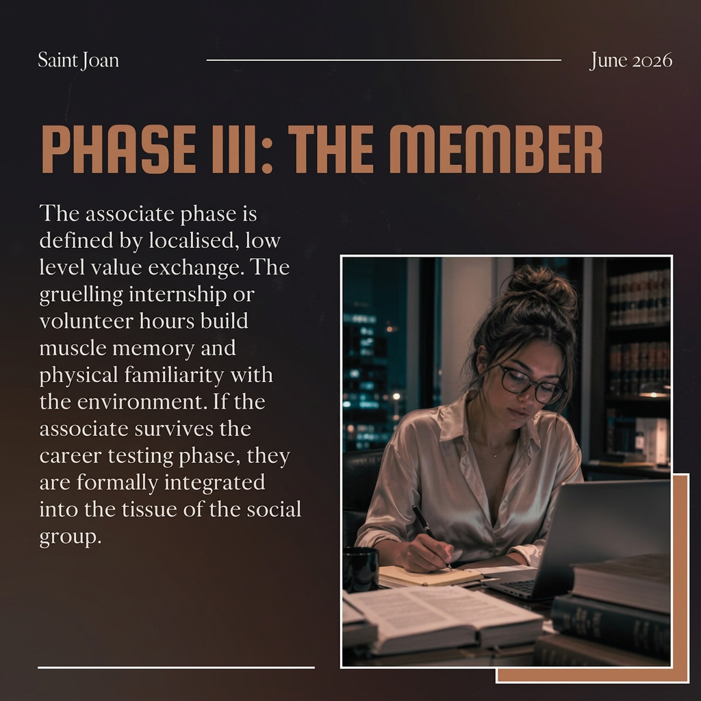 Social mobility member stage Phase 3: the member